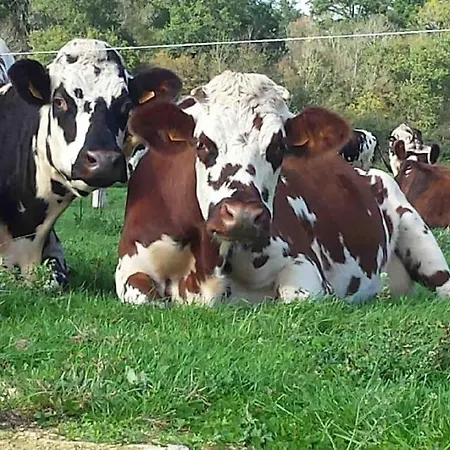 Ferienhaus Longere Dans Un Cadre Bucolique